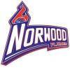 Norwood's flame