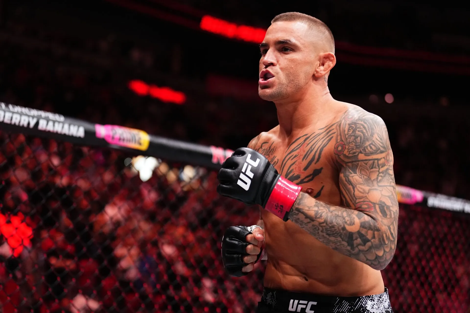 Dustin Poirier Akan Mengikuti Jejak Legenda UFC Kontroversial dengan Rencananya Setelah Pensiun